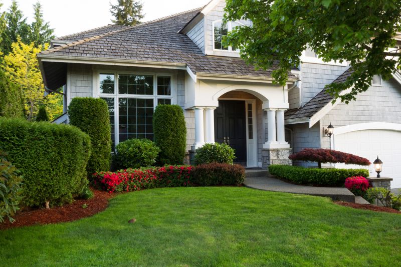 Arborvitae Pruning in Honolulu, HI