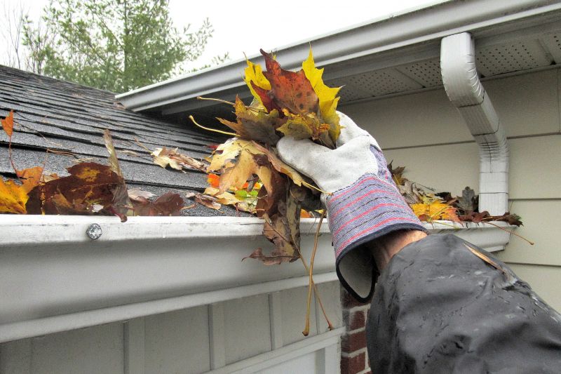 Gutter Clearing After Leaf Removal