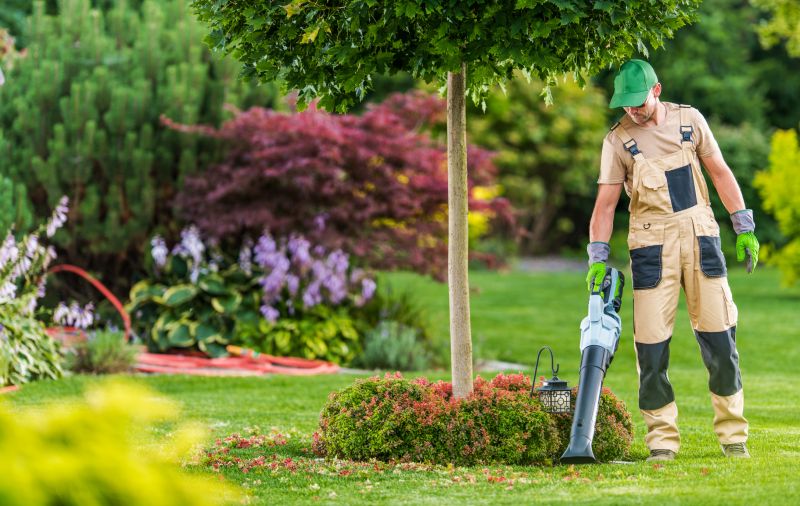 Experienced Landscaping Teams