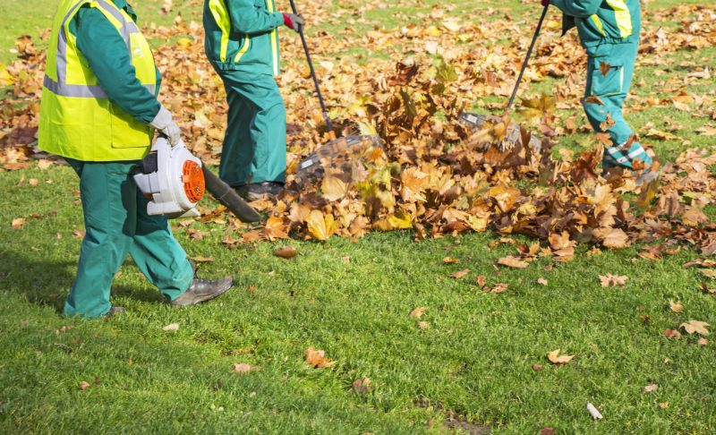 Local Commercial Leaf Removal pros at work